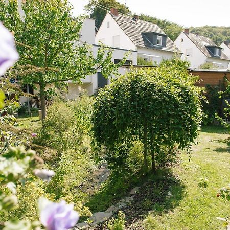 Ferienwohnung Am Breyer Talbach Екстер'єр фото